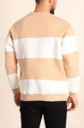 Parçalı Bisiklet Yaka Baskılı SweatShirt - Bej resmi