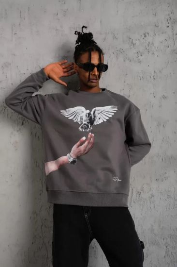 Erkek Güvercin Baskılı Sweatshirt - Gri resmi