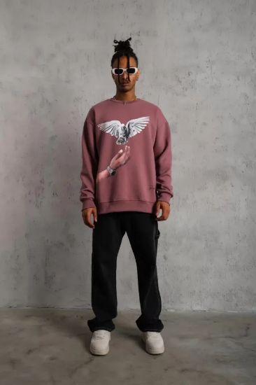 Erkek Güvercin Baskılı Sweatshirt - Gül Kurusu resmi